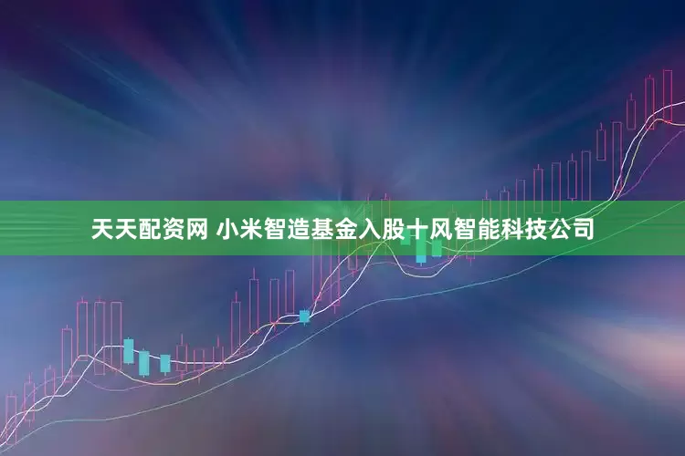 天天配资网 小米智造基金入股十风智能科技公司