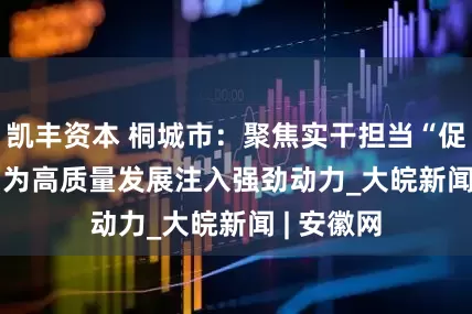 凯丰资本 桐城市：聚焦实干担当“促发展”    为高质量发展注入强劲动力_大皖新闻 | 安徽网
