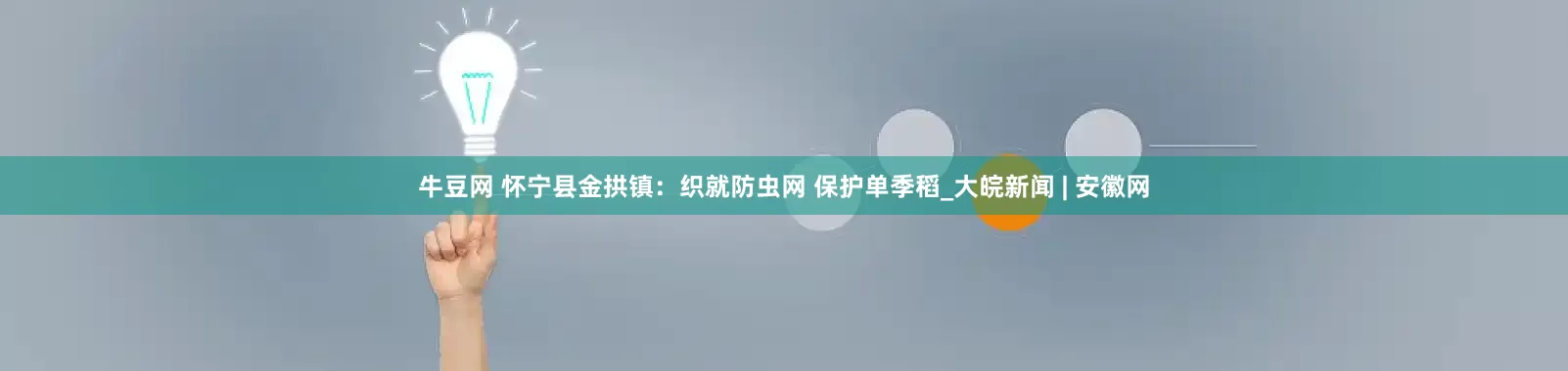 牛豆网 怀宁县金拱镇：织就防虫网 保护单季稻_大皖新闻 | 安徽网