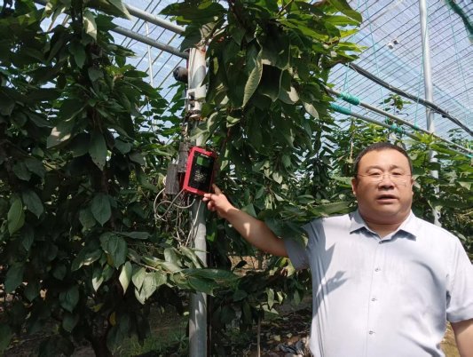 卢深策略 刘晨：“甜蜜产业”赋能乡村振兴